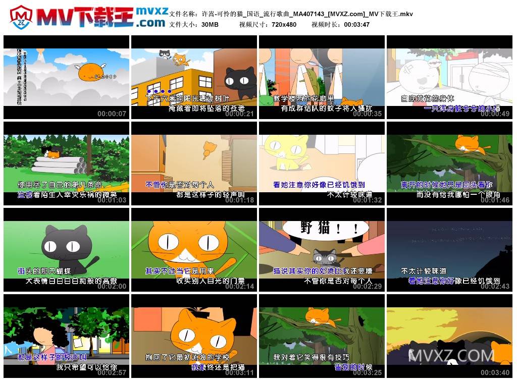 许嵩-可怜的猫_国语_流行歌曲_MA407143